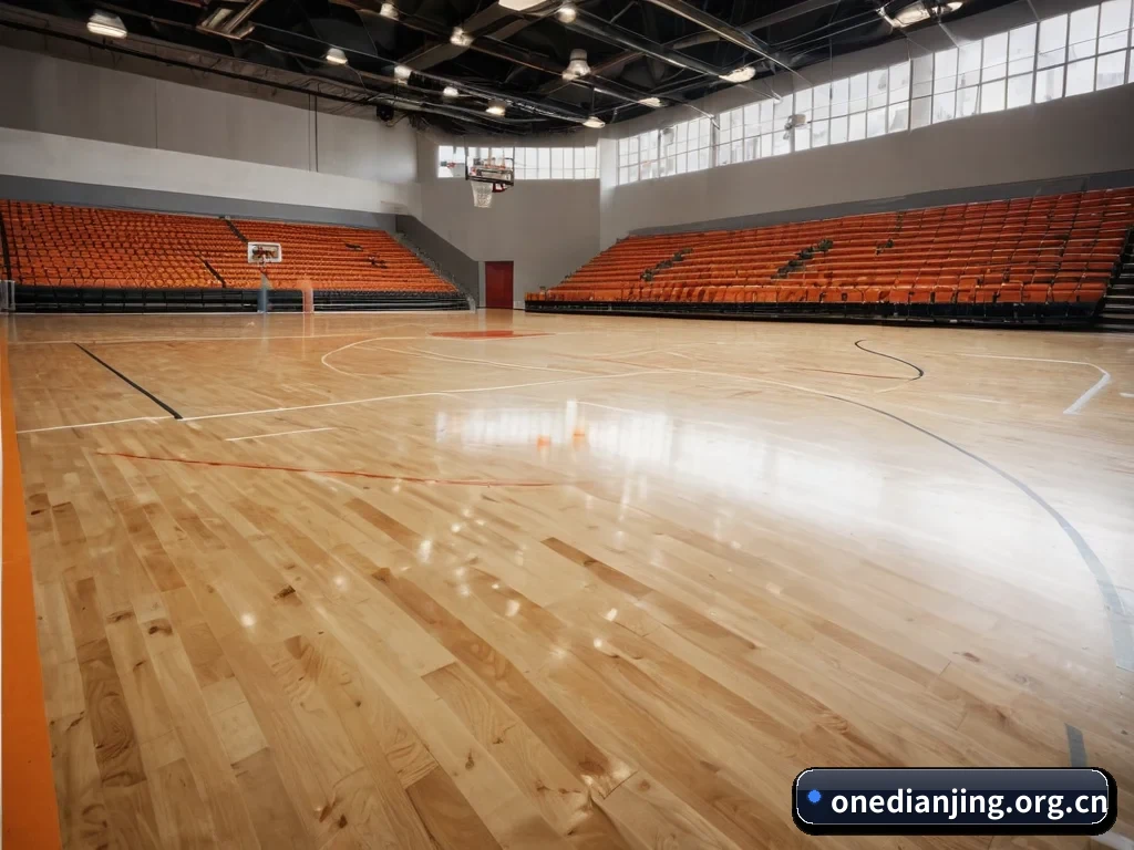 五大服务分区,信息按项目分类